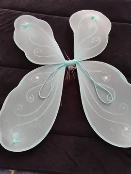 ailes / déguisement