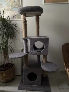 arbre à chat