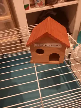 maison en bois pour hamster russe