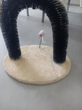 jeux pour chats