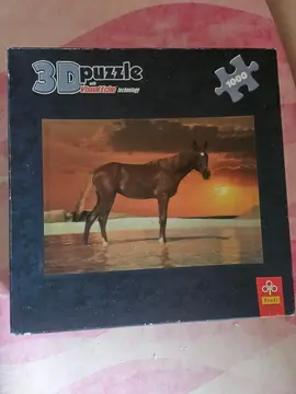 3D Puzzle 1000
