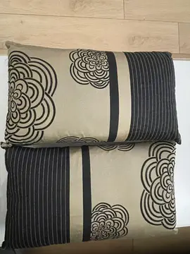 2 coussins beige et noir