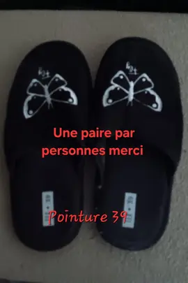 Deux paires de Pantoufles Femmes