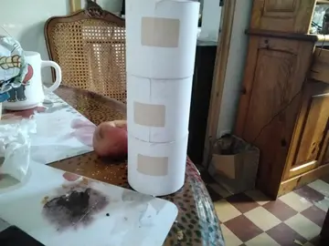 3 rouleaux de papiers pour calculette. ou activité manuelle.