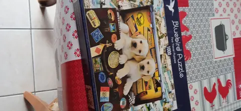 puzzle 1000 pièces