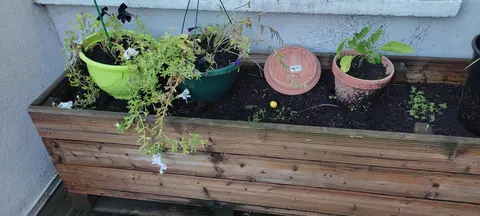 jardinière