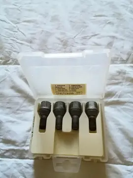 Boulon scenic antivol