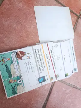 lot fiches quiz Tintin