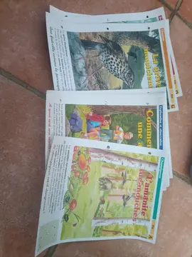 fiches sur les oiseaux et la foret