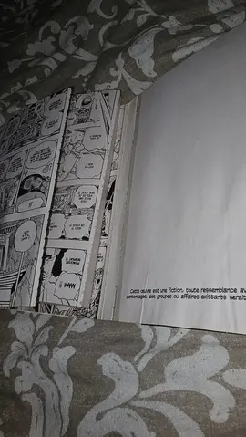 Manga One Pièce n°53