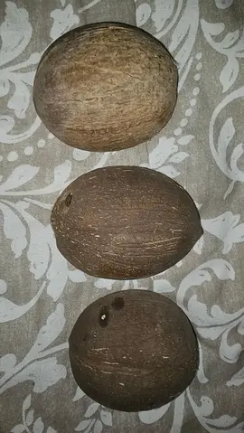 3 véritable coque de noix de coco