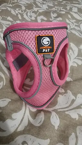 Harnais pour petit chien ou chat neuf