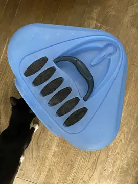 Pot pour chat