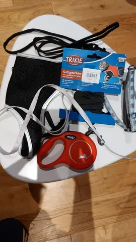 Accessoires pour chat