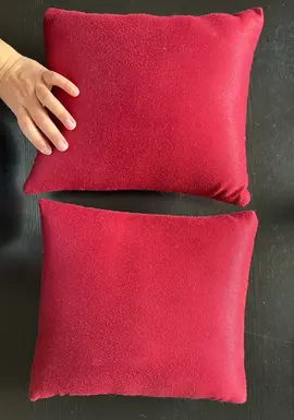 2 coussins bordeaux très bon état