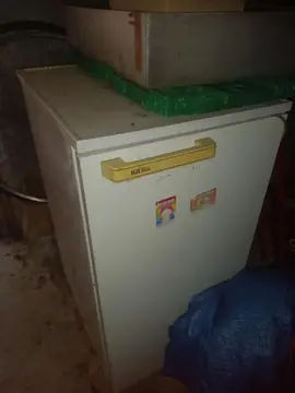 Frigo