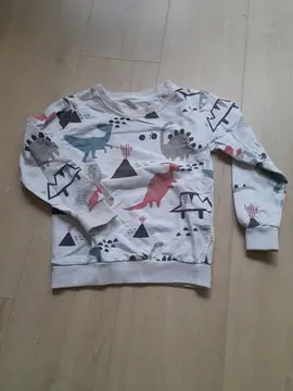 pull dinosaure T 6 ans