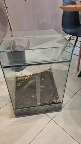 donne terrarium