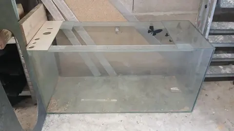 aquarium