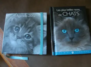 petits livrets