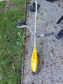 Rotofil électrique