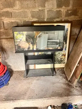aquarium 200l