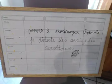 Semainier effaçable et aimantable