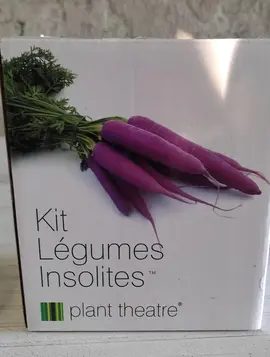 Kit plantation graines légumes insolites