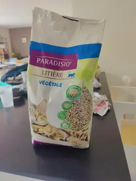 Litière chat