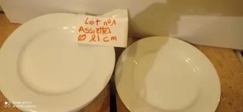 6 assiettes moyennes lot 1