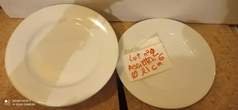 lot 2 assiettes