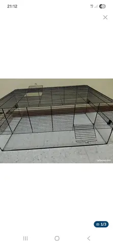 Donne terrarium