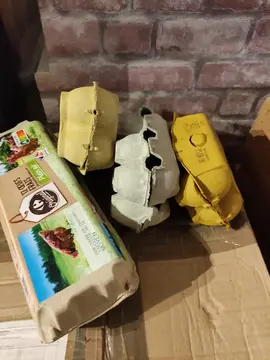 boîtes à oeufs vides