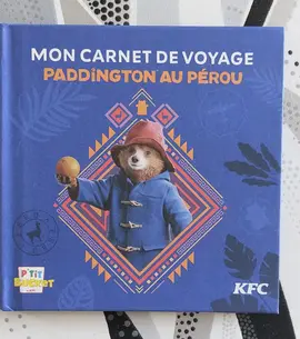 livre paddington