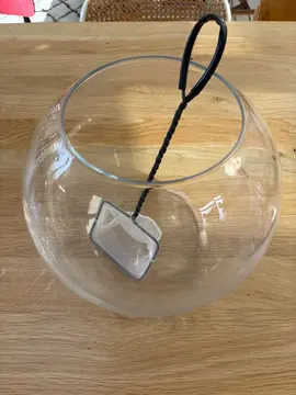 aquarium et petite épuisette