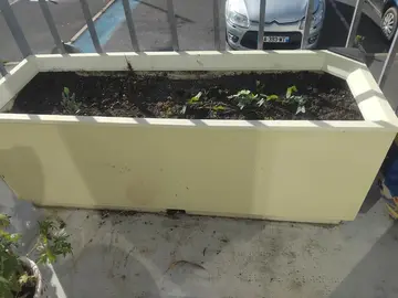 bac à fleurs