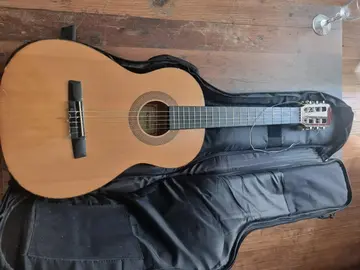guitare hohner
