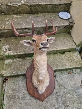 Objet décoratif