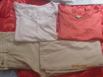 1 pantalon beige 1 tshirt et 1 blouse T 40
