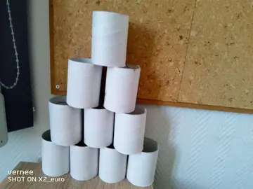 cœur carton rouleau papier toilette