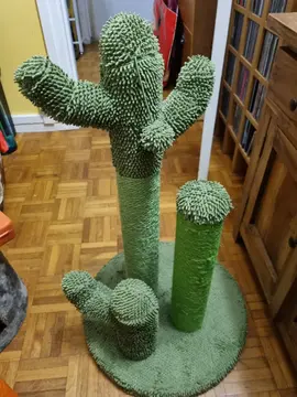 Grattoir en forme de cactus