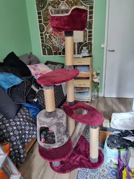 grand arbre à chat avec grattoirs