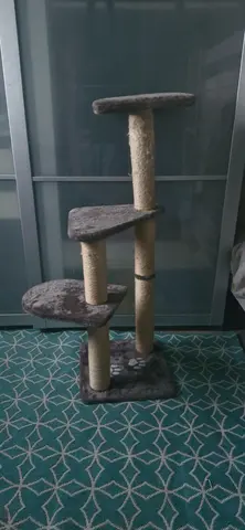 arbre a chat