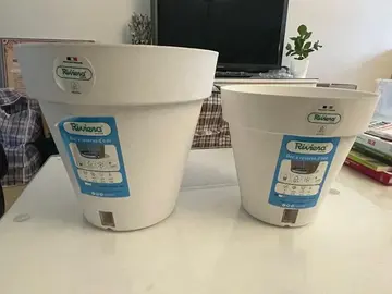 2 pots de fleurs blancs