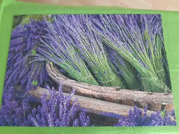 puzzle 1000 pieces
