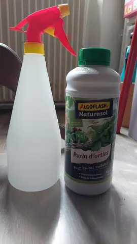 purin d'ortie + vaporisateur