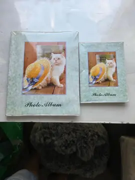 Lot 2 albums photos