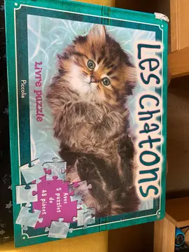 puzzles sous forme de livre