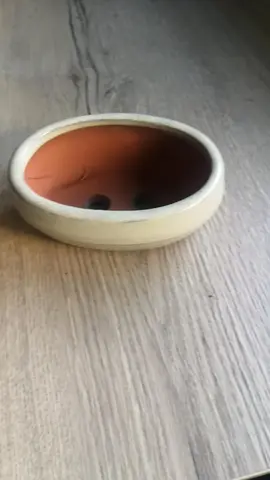 Pot pour Bonzai