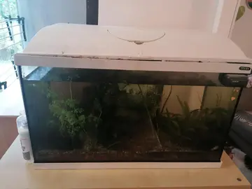 Aquarium 60l